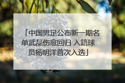 中国男足公布新一期名单武磊伤愈回归 入籍球员杨明洋首次入选