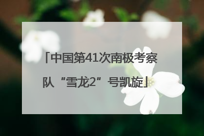 中国第41次南极考察队“雪龙2”号凯旋