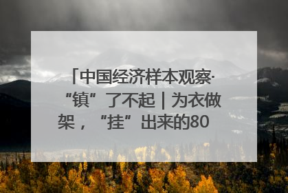 中国经济样本观察·“镇”了不起｜为衣做架，“挂”出来的80亿元“衣架产业”