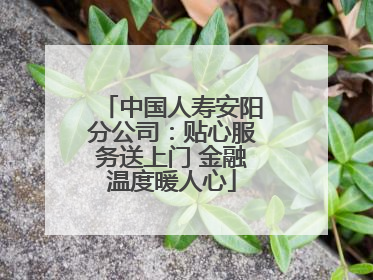 中国人寿安阳分公司：贴心服务送上门 金融温度暖人心