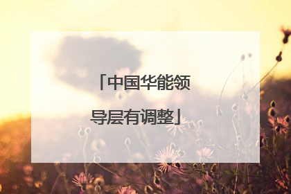 中国华能领导层有调整