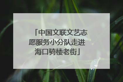 中国文联文艺志愿服务小分队走进海口骑楼老街