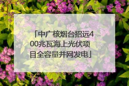 中广核烟台招远400兆瓦海上光伏项目全容量并网发电