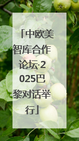 中欧美智库合作论坛·2025巴黎对话举行