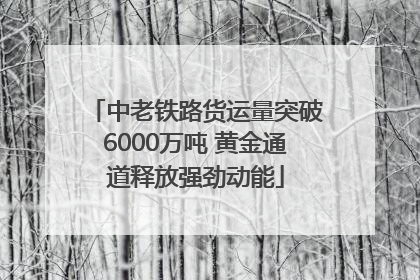 中老铁路货运量突破6000万吨 黄金通道释放强劲动能