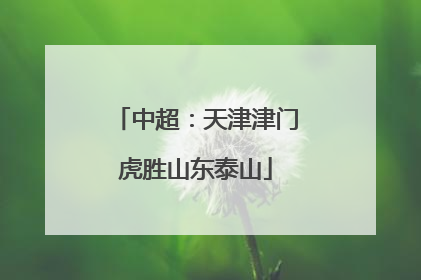 中超：天津津门虎胜山东泰山