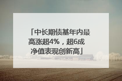 中长期债基年内最高涨超4%，超6成净值表现创新高