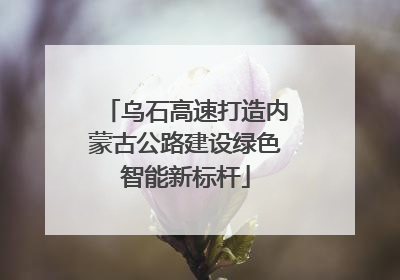 乌石高速打造内蒙古公路建设绿色智能新标杆