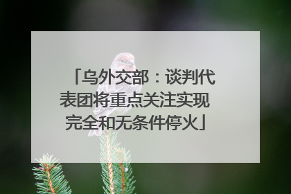 乌外交部：谈判代表团将重点关注实现完全和无条件停火