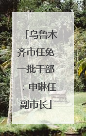乌鲁木齐市任免一批干部：申琳任副市长