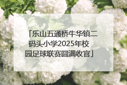乐山五通桥牛华镇二码头小学2025年校园足球联赛圆满收官