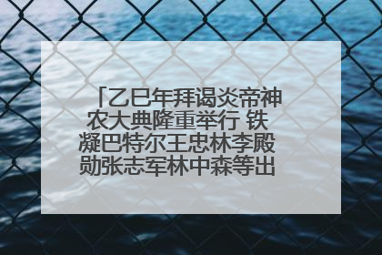 乙巳年拜谒炎帝神农大典隆重举行 铁凝巴特尔王忠林李殿勋张志军林中森等出席 孙伟主持