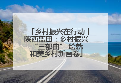 乡村振兴在行动丨陕西蓝田：乡村振兴 “三部曲” 绘就和美乡村新画卷