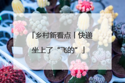 乡村新看点丨快递坐上了“飞的”