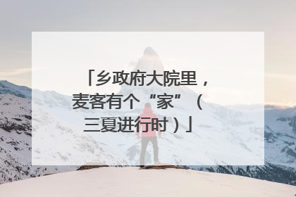 乡政府大院里，麦客有个“家”（三夏进行时）