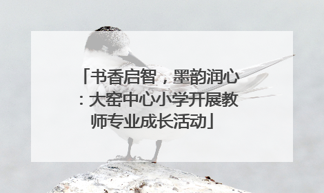 书香启智，墨韵润心：大窑中心小学开展教师专业成长活动
