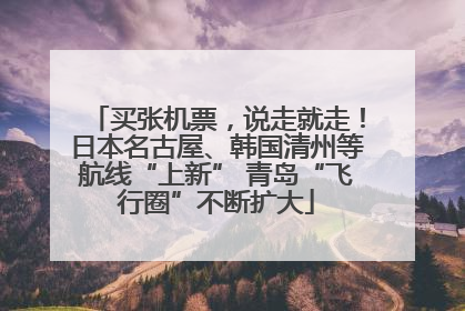 买张机票，说走就走！日本名古屋、韩国清州等航线“上新” 青岛“飞行圈”不断扩大