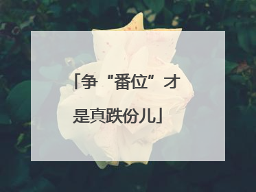 争“番位”才是真跌份儿