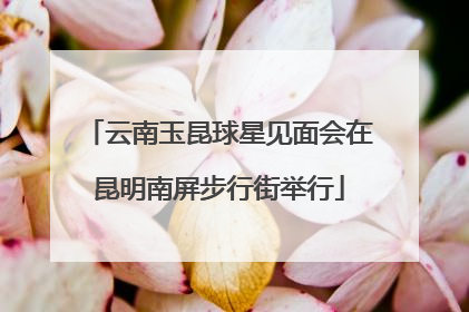 云南玉昆球星见面会在昆明南屏步行街举行