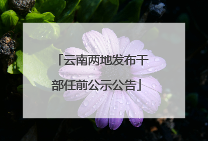 云南两地发布干部任前公示公告