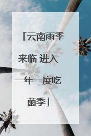 云南雨季来临 进入一年一度吃菌季