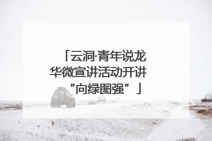 云洞·青年说龙华微宣讲活动开讲“向绿图强”