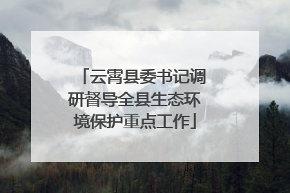 云霄县委书记调研督导全县生态环境保护重点工作