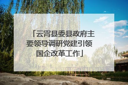 云霄县委县政府主要领导调研党建引领国企改革工作