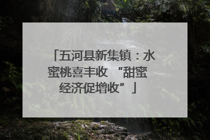 五河县新集镇：水蜜桃喜丰收 “甜蜜经济促增收”