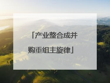 产业整合成并购重组主旋律