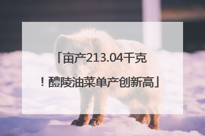 亩产213.04千克！醴陵油菜单产创新高