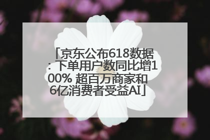 京东公布618数据：下单用户数同比增100% 超百万商家和6亿消费者受益AI