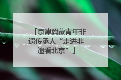 京津冀蒙青年非遗传承人“走进非遗看北京”