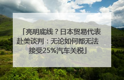 亮明底线？日本贸易代表赴美谈判：无论如何都无法接受25%汽车关税