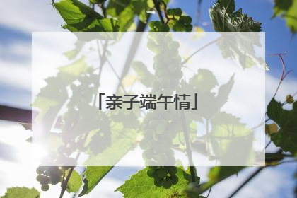 亲子端午情