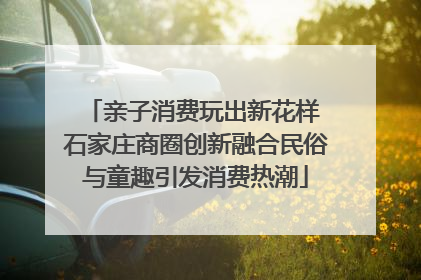 亲子消费玩出新花样 石家庄商圈创新融合民俗与童趣引发消费热潮