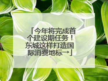 今年将完成首个建设期任务！东城这样打造国际消费地标→