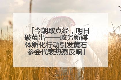 今朝取真经，明日破茧出——政务新媒体孵化行动引发黄石参会代表热烈反响