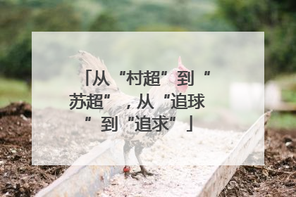 从“村超”到“苏超”，从“追球”到“追求”