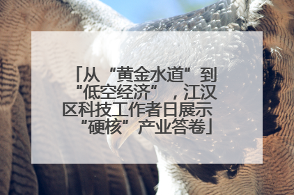 从“黄金水道”到“低空经济”，江汉区科技工作者日展示“硬核”产业答卷