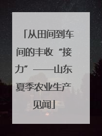 从田间到车间的丰收“接力”——山东夏季农业生产见闻