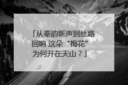 从秦韵新声到丝路回响 这朵“梅花”为何开在天山？