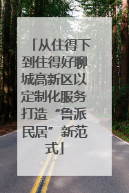 从住得下到住得好聊城高新区以定制化服务打造“鲁派民居”新范式