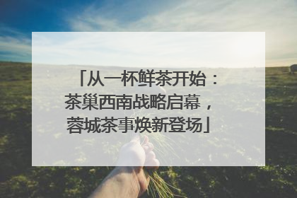 从一杯鲜茶开始：茶巢西南战略启幕，蓉城茶事焕新登场