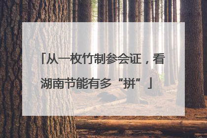 从一枚竹制参会证，看湖南节能有多“拼”