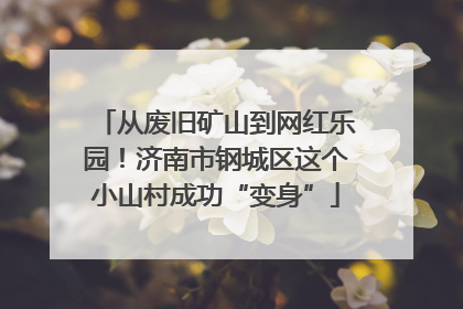 从废旧矿山到网红乐园！济南市钢城区这个小山村成功“变身”