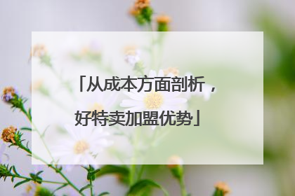 从成本方面剖析，好特卖加盟优势