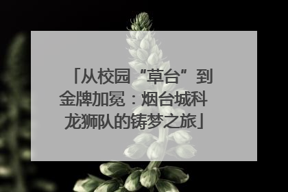 从校园“草台”到金牌加冕：烟台城科龙狮队的铸梦之旅