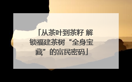 从茶叶到茶籽 解锁福建茶树“全身宝藏”的富民密码