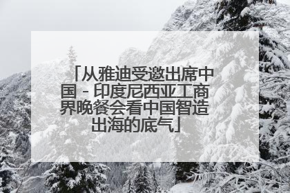 从雅迪受邀出席中国－印度尼西亚工商界晚餐会看中国智造出海的底气